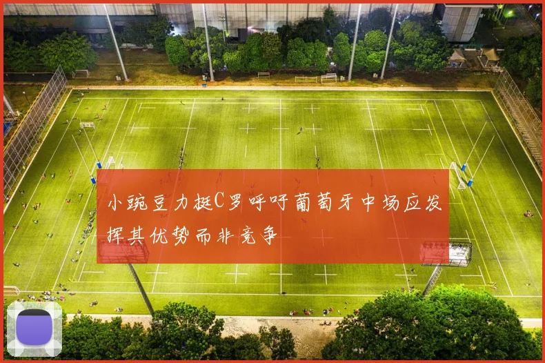 小豌豆力挺C罗呼吁葡萄牙中场应发挥其优势而非竞争